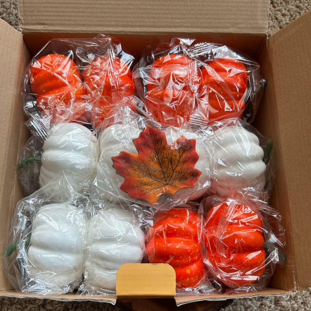 🎃 Pumpkin Set 🎃